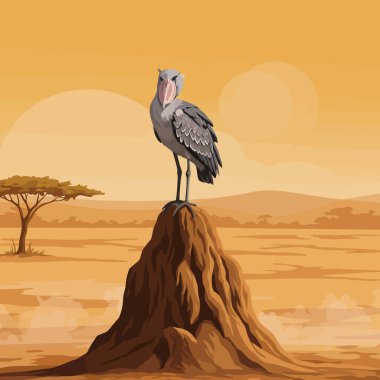 Gri ayakkabı gagalı leylek sıcak savana ovalarını gözlüyor. Bu resim vahşi yaşam ve doğa projeleri için idealdir..