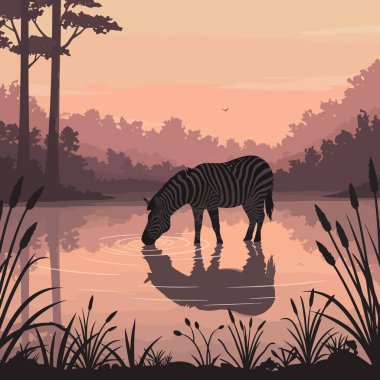 Zebra, gölün durgun gölünden su içerek alacakaranlık gökyüzünü yansıtıyor, siluetli ağaçlarla çevrili; vahşi yaşamı ve dinginliği resmetmek için ideal..