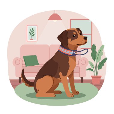 Sakin köpek bitki ile sıcak bir oturma odasında sabırla oturur; onun renkli yaka ve tasma bir evcil hayvan yaşam çizim önerir.