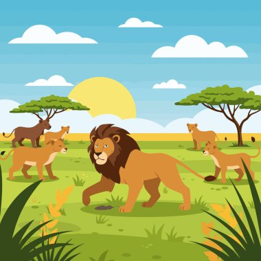 Aslan, parlak bir güneş altındaki dişi aslanların eşlik ettiği yeşil bozkırda güvenle adımlar atar. Vahşi yaşamı ve doğa kavramlarını resmetmek için birebir..