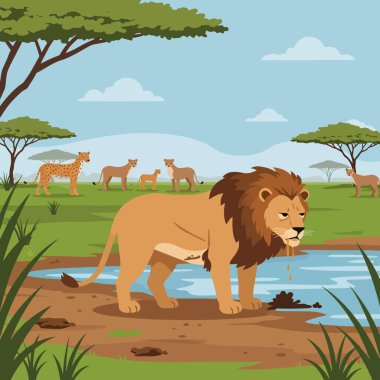 Büyük bir aslan, Afrika savanasındaki bir su birikintisinin yanında su içer. Etrafı diğer hayvanlarla çevrilidir. Vahşi yaşam ve doğa çizimleri için mükemmeldir..