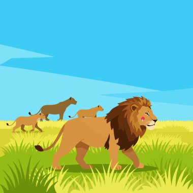 Aslan gururu, berrak bir gökyüzü altında çimenli arazide geziniyor, macera hikayeleri anlatmak için vahşi ve canlı bir sahne yaratıyor..