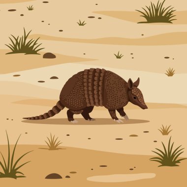 Armadillo, çimen yığınlarıyla kaplı kumlu çölde yürüyor. Vahşi yaşam ve eğitim materyalleri için harika basit doğa sahneleri yaratıyor..