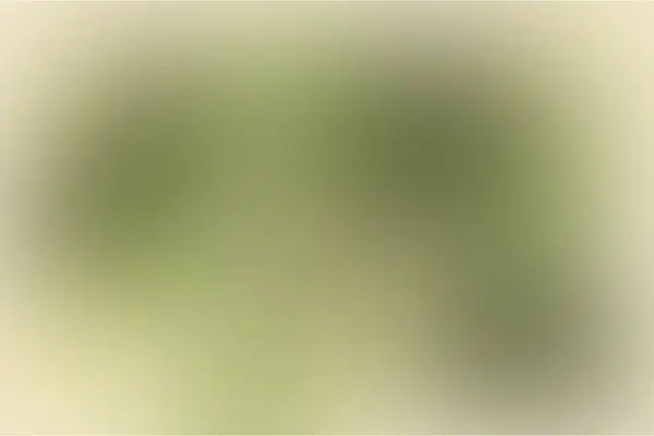 Gürültülü yeşil-beyaz gradyan arka plan. Bitkilerin cam arkasındaki etkisi.