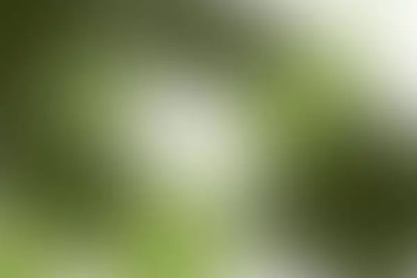 Gürültülü yeşil-beyaz gradyan arka plan. Bitkilerin cam arkasındaki etkisi.