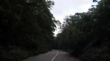 Ormanda bir yolu kamerayla çekmek..