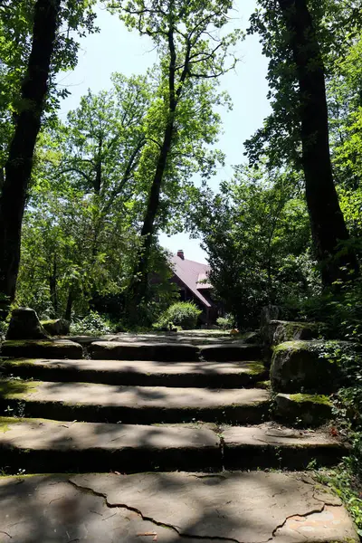 Ormandaki ahşap ev. Ormandaki bir eve giden taş yol..