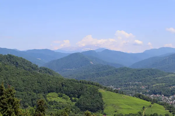 Dağlar ve orman. Dağ manzaralı Panorama.