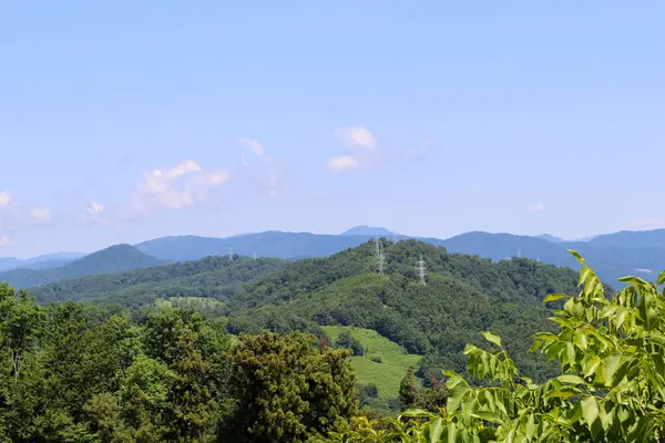Dağlar ve orman. Dağ manzaralı Panorama.