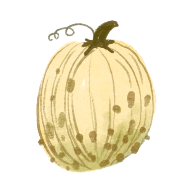 Balkabağı eli çizimi. Suluboya tarzında şirin sonbahar balkabakları.