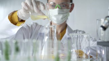 Laboratuvar önlüğü, beyaz eldiven ve maske giyen kadın bilim adamı laboratuvar ortamında bir deney şişesinden Erlenmeyer şişesine sarı yağlı bir sıvı döküyor. Bilim ve tıp.