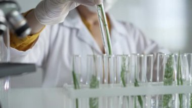 Laboratuvar önlüğü, beyaz eldivenler ve koruyucu yüz maskesi takan tanınmamış bilim adamı içinde bitkiler olan bir test tüpü tutuyor. Bilim ve tıp kavramları.