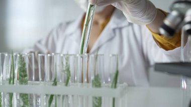 Laboratuvar önlüğü, beyaz eldivenler ve koruyucu yüz maskesi takan tanınmamış bilim adamı içinde bitkiler olan bir test tüpü tutuyor. Bilim ve tıp kavramları.