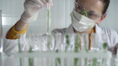 Laboratuvar önlüğü, beyaz eldivenler ve koruyucu yüz maskesi takan kadın bilim adamı, içinde bitkiler olan bir test tüpü tutuyor, yakın plan. Bilim ve tıp kavramları.