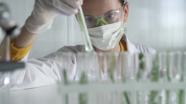 Laboratuvar önlüğü, beyaz eldivenler ve koruyucu yüz maskesi takan kadın bilim adamı, içinde bitkiler olan bir test tüpü tutuyor, yakın plan. Bilim ve tıp kavramları.