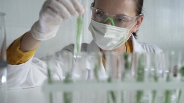 Laboratuvar önlüğü, beyaz eldivenler ve koruyucu yüz maskesi takan kadın bilim adamı, içinde bitkiler olan bir test tüpü tutuyor, yakın plan. Bilim ve tıp kavramları.