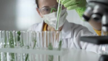 Laboratuvar önlüğü giyen kadın bilim adamı, yeşil eldivenler ve içinde bitkiler olan bir test tüpü tutan maske, yakın çekim. Bilim ve tıp kavramları.