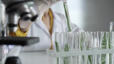 Laboratuvar önlüğü, beyaz eldivenler ve koruyucu yüz maskesi takan tanınmamış bilim adamı içinde bitkiler olan bir test tüpü tutuyor. Bilim ve tıp kavramları.