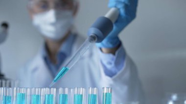 Laboratuvar ortamında test tüplerini mavi sıvıyla doldurmak için mikropipet kullanan kadın araştırmacı. Yakın çekim. Tıp ve bilim konsepti.
