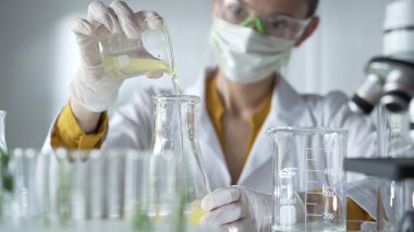 Laboratuvar önlüğü, beyaz eldivenler ve maske giyen kadın araştırmacı, laboratuvar portresi olan bir Erlenmeyer şişesine beher yağlı sarı bir sıvı döküyor. Bilim ve tıp kavramları.
