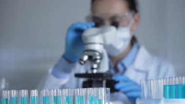 Laboratuvar önlüğü, maske, mavi eldiven ve güvenlik gözlüğü takan bilim adamı kadın, laboratuarda test tüpleriyle çevrili bir mikroskobu ayarlıyor. Tıp ve bilim konsepti.