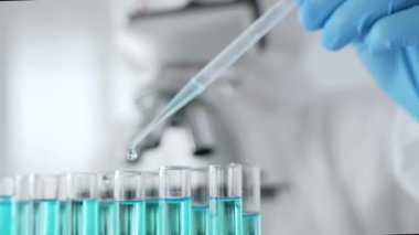 Mavi koruyucu eldivenler giyen bilimsel araştırmacıların ellerini kapatın. Tıbbi araştırma yaparken sıvıyı test tüplerine dikkatlice yerleştirin. Tıp ve bilim konsepti.