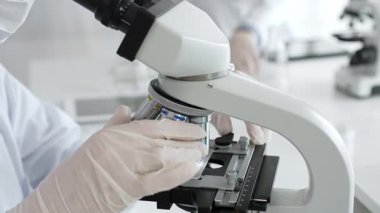 Beyaz koruyucu eldivenler giyen bilim teknisyeni laboratuvar mikroskobunu dikkatlice ayarlıyor ve titiz bir araştırma tekniği sergiliyor. Tıp, sağlık ve bilim konsepti