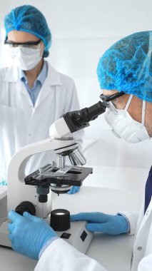 Mavi koruyucu saç filesi, maske ve gözlüklü iki bilim adamı bir laboratuarda mikroskop altında araştırma yapıyorlar. Tıp ve bilim kavramı.