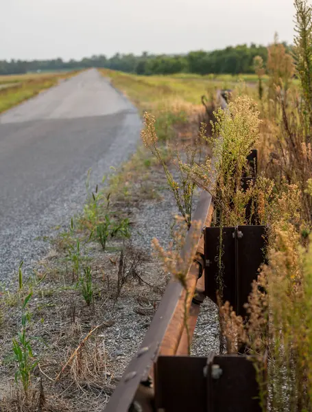 Güney Illinois 'de eski bir yol boyunca perçinlenmiş paslı korkuluklar.