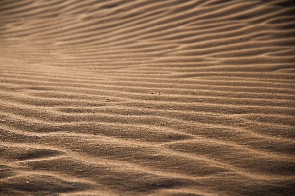 Пісок Калмикії Вітер Митець Створює Унікальні Візерунки Піщаній Поверхні — стокове фото