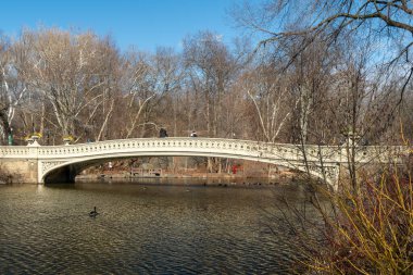 New York 'taki ünlü Central Park' tan Manhattan 'ın panoramik manzarası.