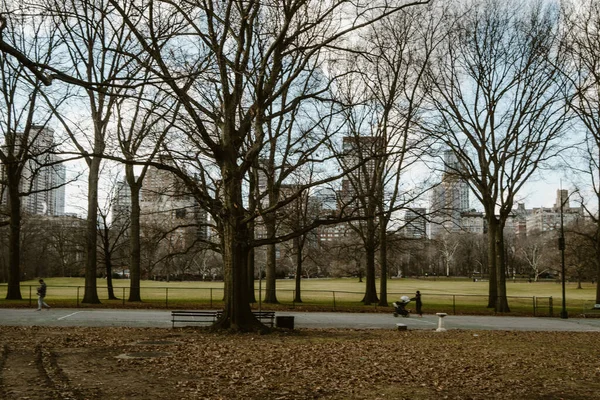 Мбаппе Вид Манхэттен Знаменитого Центрального Парка Нью Йорке Нью Йорк — стоковое фото