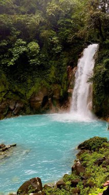 Rio Celeste Şelalesi ve Tenorio Volkan Ulusal Parkı, Alajuela Eyaleti, Kosta Rika