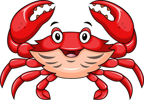 Vector Illustration of Cute happy crab on white background