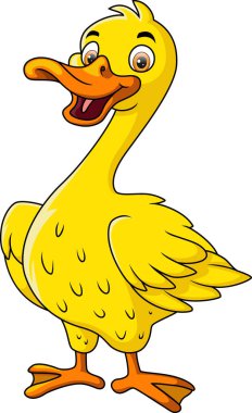 Beyaz arkaplanda şirin ördek karikatürünün vektör çizimi