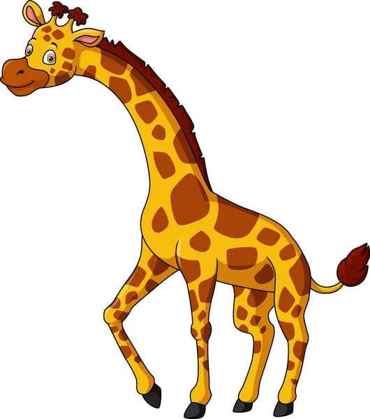 Ilustração Vetorial Girafa Dos Desenhos Animados Sobre Fundo Branco —  Vetores de Stock