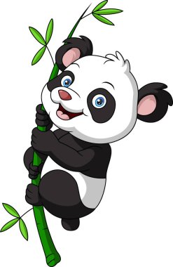 Bambu üzerinde asılı şirin bebek panda çizgi filminin vektör çizimi