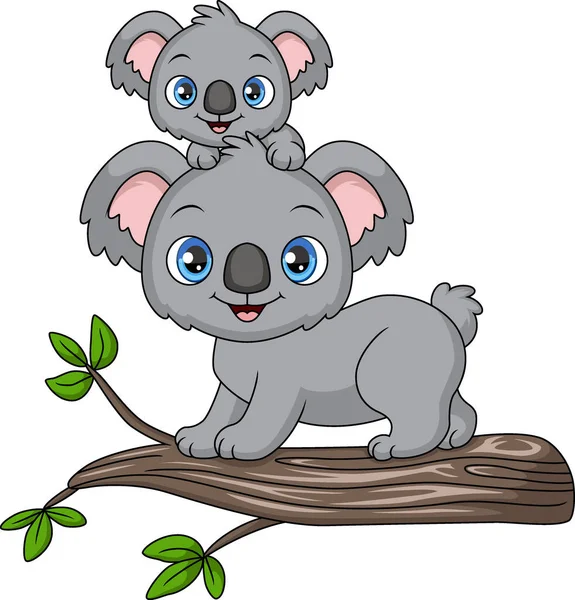 木の枝にかわいい母コアラと赤ちゃんのベクトルイラスト — ストックベクタ