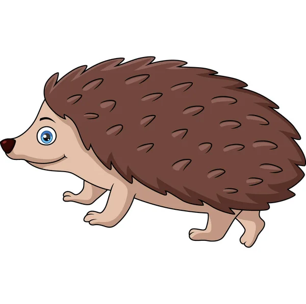 Vector Illustration Cute Hedgehog Cartoon White Background — Stock Vector