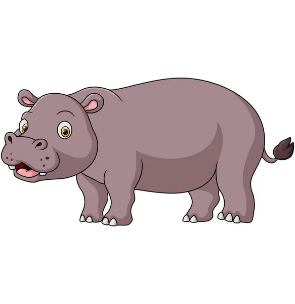 Vector Illustration Cute Hippo Cartoon White Background — Archivo Imágenes Vectoriales