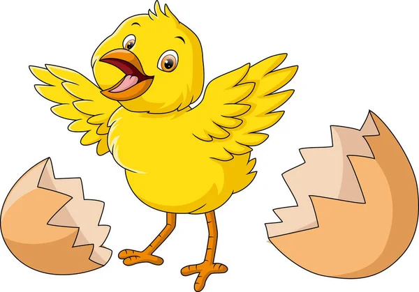 Vector Illustration Cute Little Chick Cartoon Cracked Egg — Stock Vector