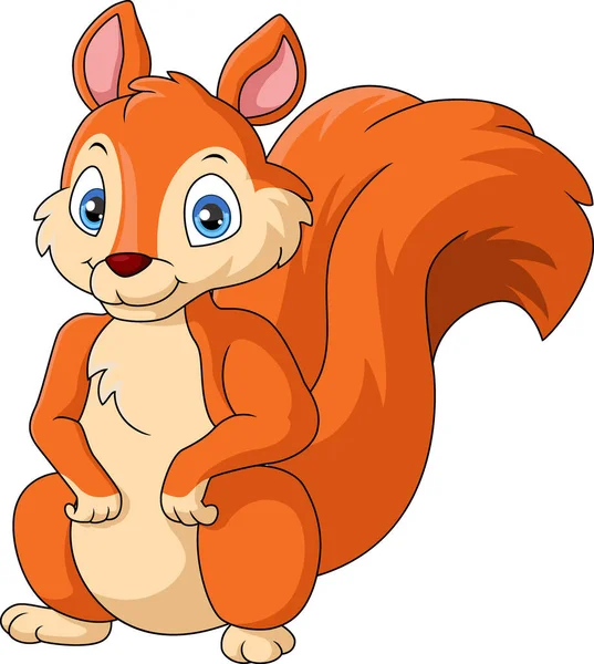 Vector Illustration Von Cute Eichhörnchen Karikatur Auf Weißem Hintergrund — Stockvektor