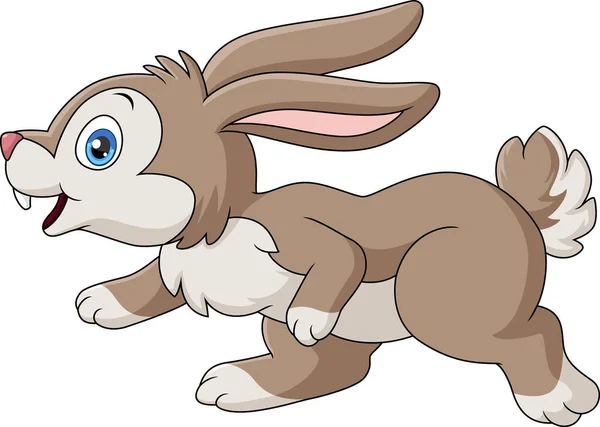Vector Illustration Cute Rabbit Cartoon White Background — Stock Vector