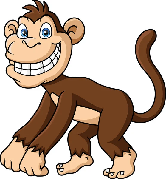 Ilustração Vetorial Desenhos Animados Macaco Bonito Fundo Branco —  Vetores de Stock