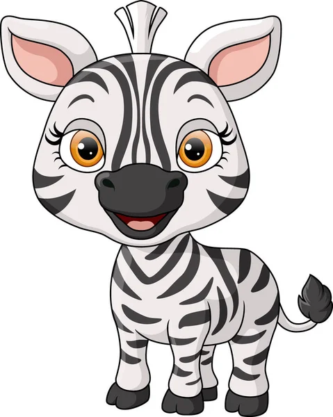 Ilustração Vetorial Desenho Animado Bonito Zebra Bebê Fundo Branco —  Vetores de Stock