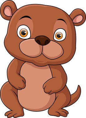 Vector illustration of Cute little bear cartoon on white background