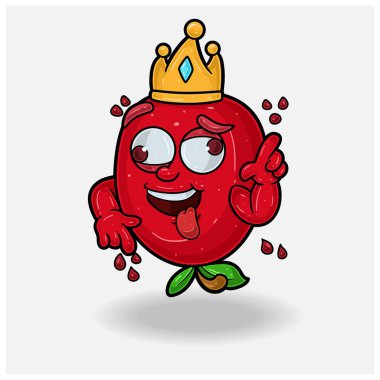 Nar meyveli Maskot Karakteri. Çılgın bir ifadesi var. Marka, etiket, paketleme ve ürün için.