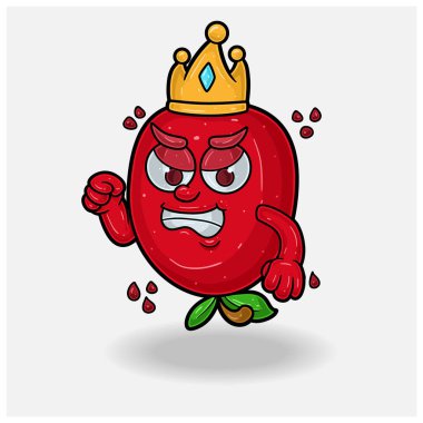 Kızgın ifadeli nar meyveli maskot karakteri çizgi filmi. Marka, etiket, paketleme ve ürün için. 