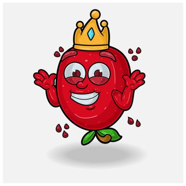 Nar meyveli maskot karakteri. Gülmeyi bilmeyen çizgi film karakteri. Marka, etiket, paketleme ve ürün için. 