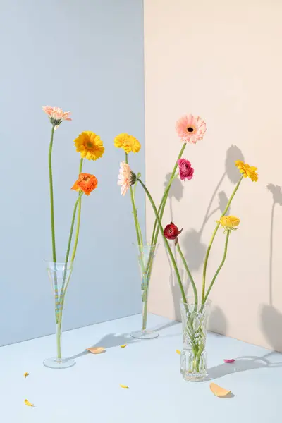 Krásné Květiny Váze Proti Modré Krémové Pozadí Jarní Estetický Koncept Stock Snímky